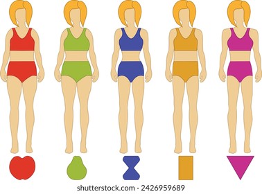 Five types of female figures. Illustration types of female figures apple pear watch rectangle triangle. Illustration of women's body types