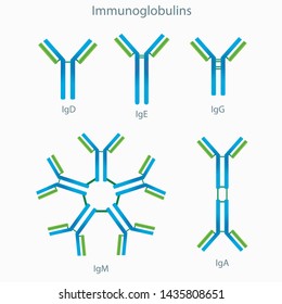 2,964 Immunoglobulin Images, Stock Photos & Vectors | Shutterstock