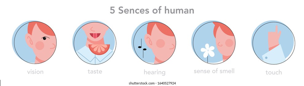 Five types of human sense infographics. Vision through eye, smell with nose, taste with tongue. Sensory perception through hand touch. Isolated flat vector illustration