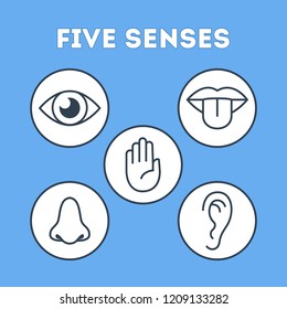 Five types of human sense. Vision through eye, smell with nose, taste with tongue. Sensory perception through hand touch. Isolated flat vector illustration