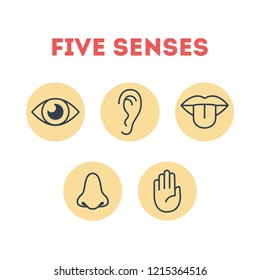 Five types of human sense. Vision through eye, smell with nose, taste with tongue. Sensory perception through hand touch. Isolated flat vector illustration