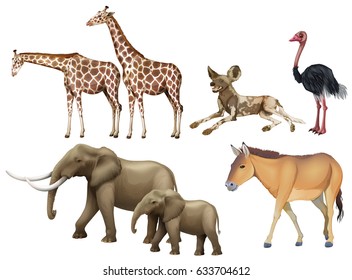 Five types of wild animals illustration
