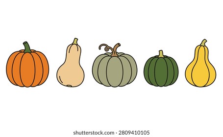 Five varieties of colorful autumn squashes and pumpkins are neatly arranged in a row on a white background.