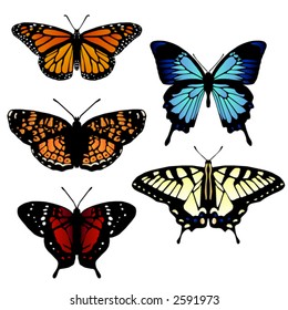 Five vector butterflies