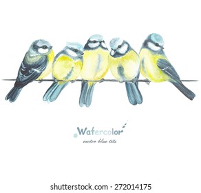 Five watercolor blue tits, vector illustration in vintage style.