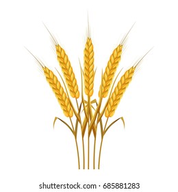 Five wheat ears icon. Cartoon illustration of wheat ears vector icon for web design