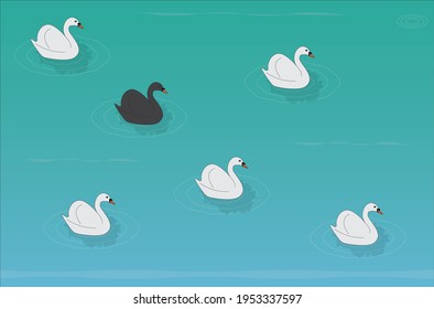 Five White Swan And One Black Swan