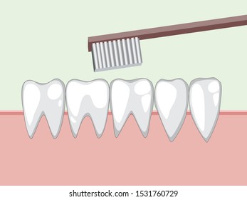 Five white teeth in the gum. A toothbrush brushes teeth to maintain oral cleanliness. Vector colorfull illustration