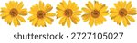 Five yellow flowers. Blooming time. Vector illustration.