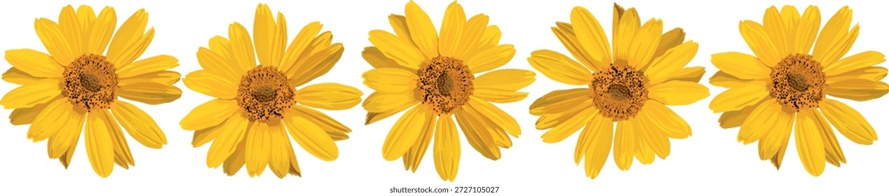 Five yellow flowers. Blooming time. Vector illustration.