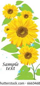 five yellow sunflowers