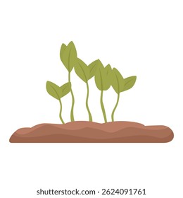 Five young plants growing from the ground, representing new life, growth, and the beauty of nature