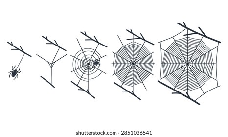 A five-stage horizontal evolution sequence of a spider constructing its web. The graphic begins with a spider descending from a twig, progresses through the building of the radial structural frame, and concludes with a fully formed, detailed spiderweb. The style is a minimalist black silhouette on a plain white background, suitable for educational or biological infographics.