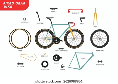 Fixed gear bike with components parts and names symbol icons set. Single speed bicycle parts diagram in simple modern flat illustration