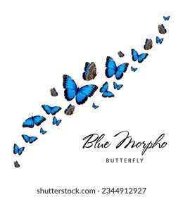 Fiying blue morpho butterflies. Vector illustration isolated on white background