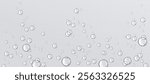 Fizzy water bubbles floating on transparent background. Multiple sized spherical shapes for effervescent pattern. Realistic 3d vector natural carbonated liquid effect with scattered droplets.