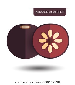 Flacourtia, Amazon acai fruit vector illustration