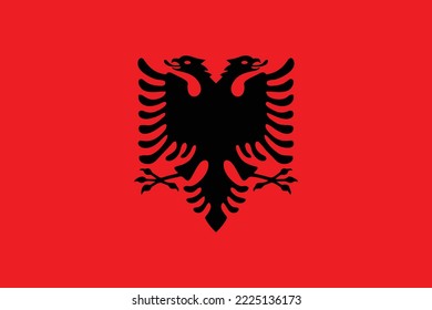 the flag of Albania is a flag with a red background with a two-headed black eagle in the center