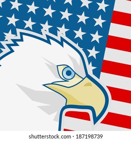 Flag america
