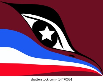 Flag American in an image of a bird