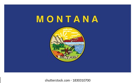 flag  of the American state of Montana vector illustration