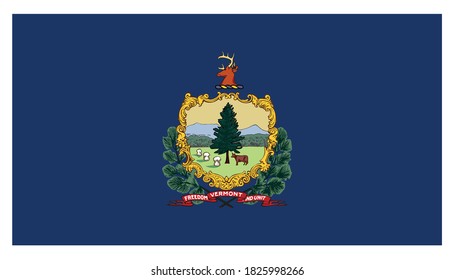 flag  of the American state of Vermont vector illustration
