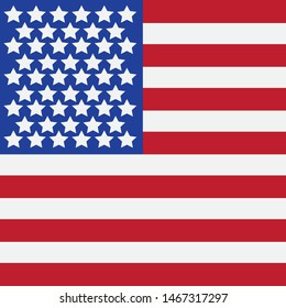Flag american vector icon illustration design template
