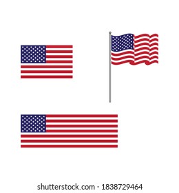 Flag american vector icon illustration design template