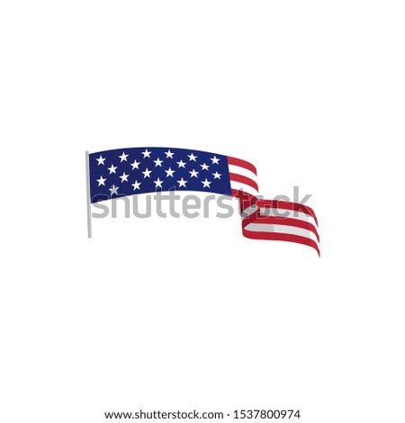 Flag american vector icon illustration design template