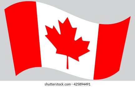 Flag of Canada waving on gray background