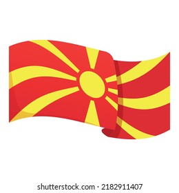 Flag celebration icon cartoon vector. Circle map. Republic election