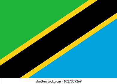 Flag in colors of Tanzania, vector image