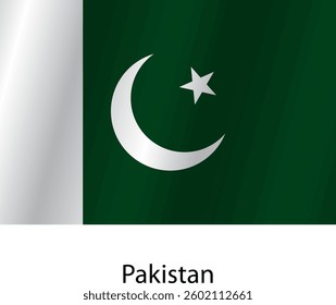 Flag of the country Pakistan on a white background.