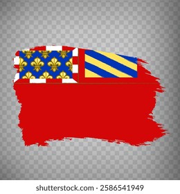 Flag of Dijon brush strokes. Flag Dijon is the city of France on transparent background for your web site design, app, UI.  EPS10.