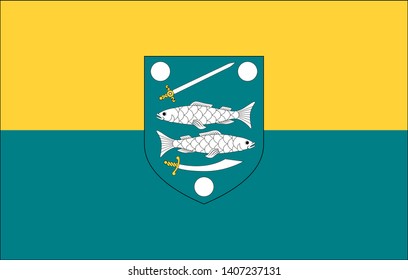 Flag of the Estonia City of Narva