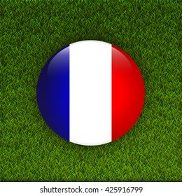 Flag of France on green grass field.