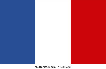 Flag of France vector image