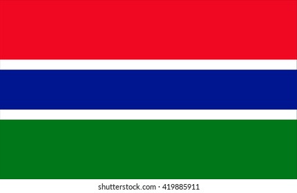 Flag of Gambia vector image