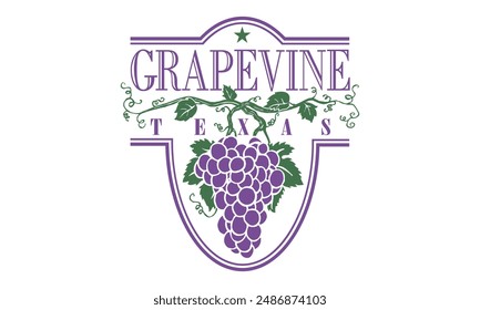 Flag of Grapevine, Texas, USA. 