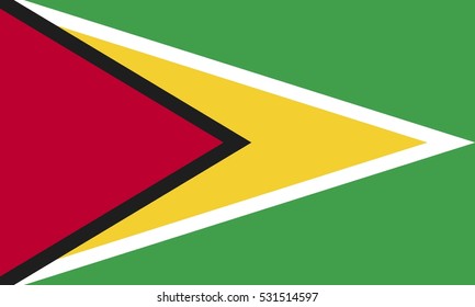 Flag of Guyana