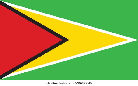flag of guyana vector icon illustration eps10