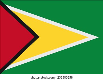 Flag of Guyana vector illustration