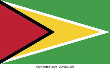 Indicador de pasos de ilustración vectorial de Guyana
