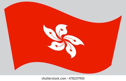 Flag of Hong Kong waving on gray background. The Hong Kong is special administrative region of the Peoples Republic of China.
