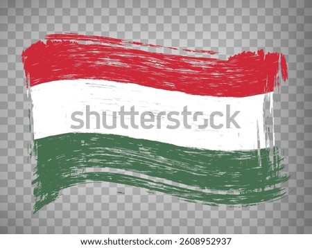 Flag of Hungary brush strokes. Flag of Hungary on transparent background for your web site design, app, UI. Distress style. EPS10.