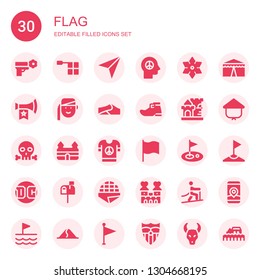 flag icon set. Collection of 30 filled flag icons included Peace, Offside, Navigator, Shuriken, Vuvuzela, Armenian, Dunes, Leprechaun shoe, Castle, Skull, Flag, Golf, Dc, Letterbox