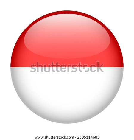 flag of Indonesia, button round glossy icon