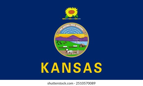 Flag of Kansas, Kansas Flag