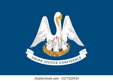 Flag of Louisiana, symbol of USA federal state. Louisianan full frame federal flag with pelican bird on dark blue field, symbol of nature and history of Louisiana vector illustration