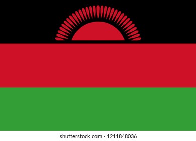 Flag of Malawi vector